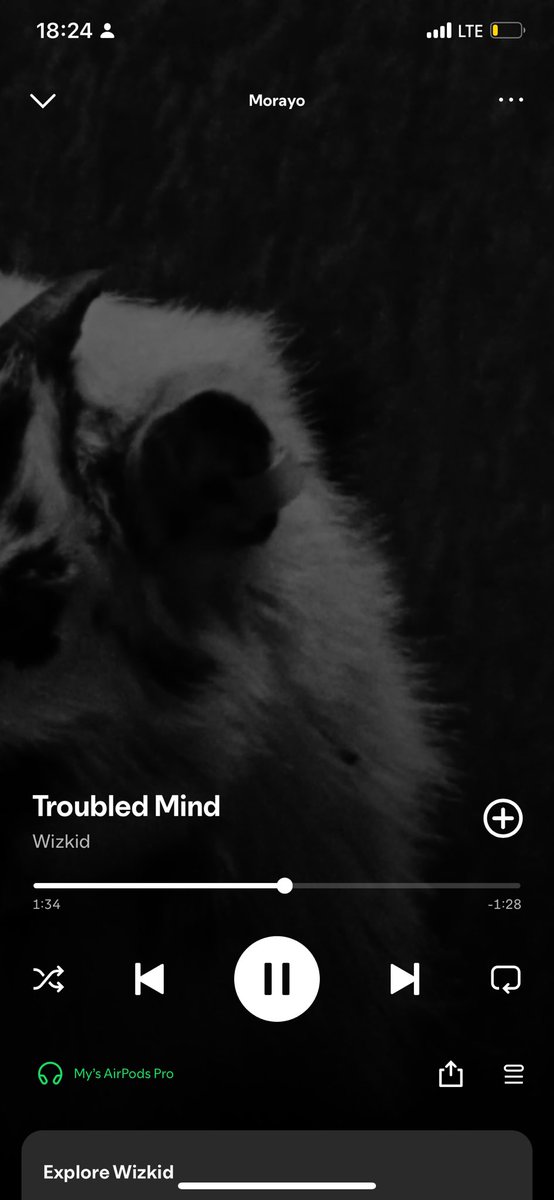 ngrsolution's tweet image. Soft feeling  #Morayo