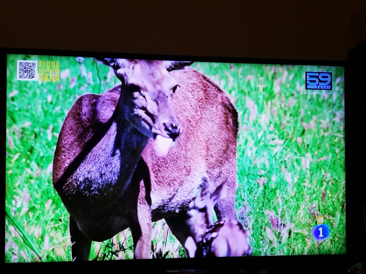 sarcas_0's tweet photo. @El_Hormiguero Bronca de Broncano a MotoJP https://t.co/7fN8kHf3Sy