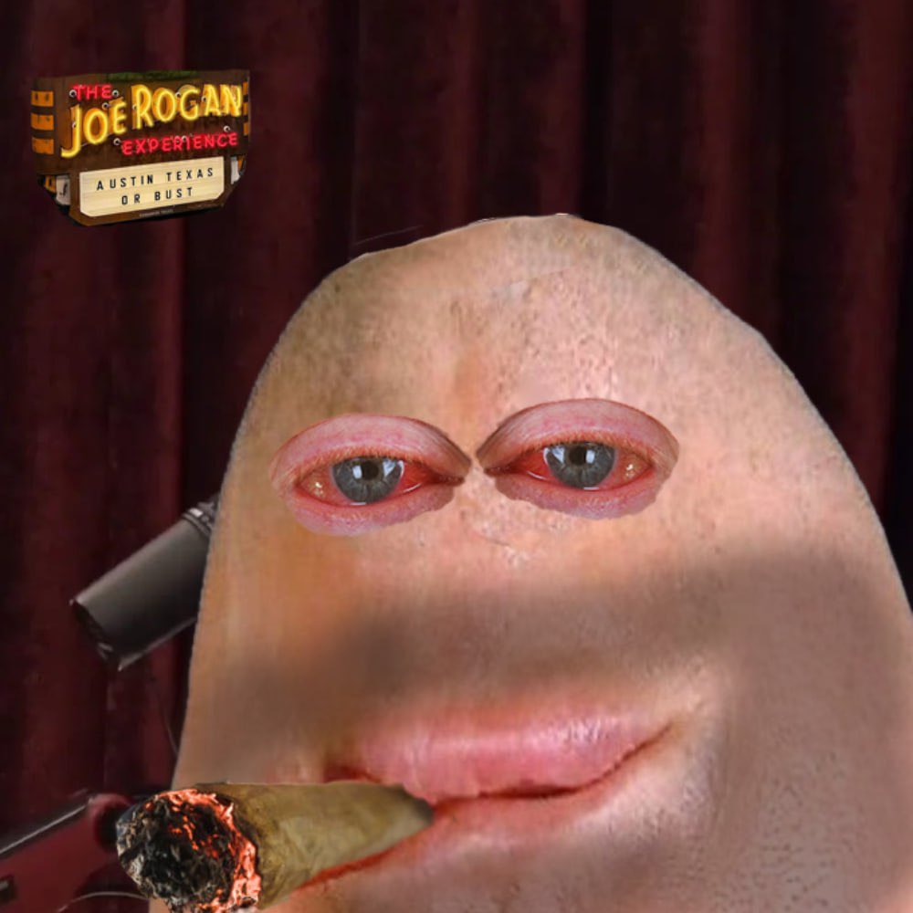 giga_chin's tweet photo. @Cobratate GIGA chins welcome Tate the the $CHINI world https://t.co/nSKxjyV2vW