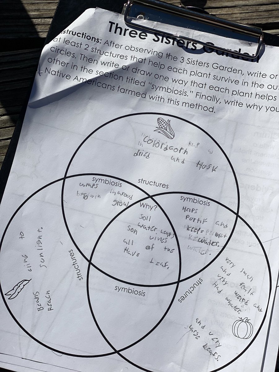 Christy McClain (@christy_clain) on Twitter photo 🌱 4th graders at <a href="/CentralCFB/">Central Elementary</a> in <a href="/CFBISD/">Carrollton-Farmers Branch ISD</a> are diving into Native American traditions with the "Three Sisters" gardening method! 🌾 They’re learning how corn, beans, and squash work together to nourish the land and each other. Hands-on history at its best! <a href="/CFB_OLC/">🌳TheOutdoorLearningCenter🌳</a> <a href="/kimmieholcomb/">Kim Holcomb</a> 🌱 4th graders at <a href="/CentralCFB/">Central Elementary</a> in <a href="/CFBISD/">Carrollton-Farmers Branch ISD</a> are diving into Native American traditions with the "Three Sisters" gardening method! 🌾 They’re learning how corn, beans, and squash work together to nourish the land and each other. Hands-on history at its best! <a href="/CFB_OLC/">🌳TheOutdoorLearningCenter🌳</a> <a href="/kimmieholcomb/">Kim Holcomb</a>
