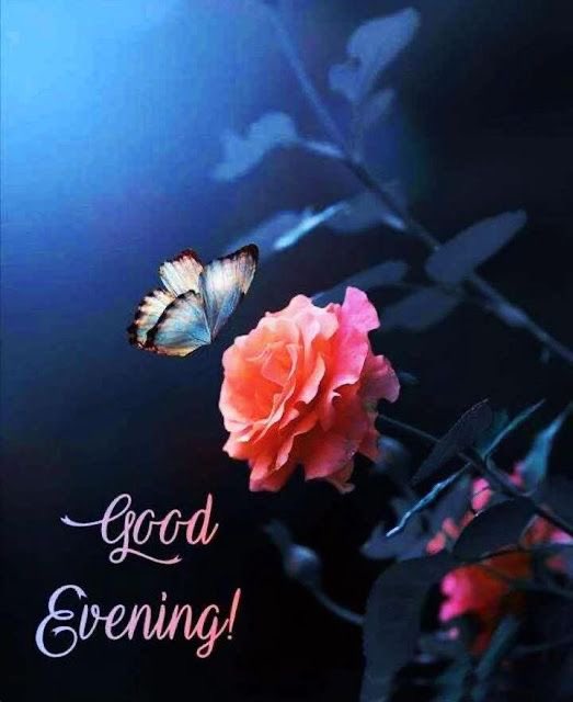 Totally flaked on my morning message today! 😩 I hope you all had a beautiful day. 😊🙏🏼💙✨