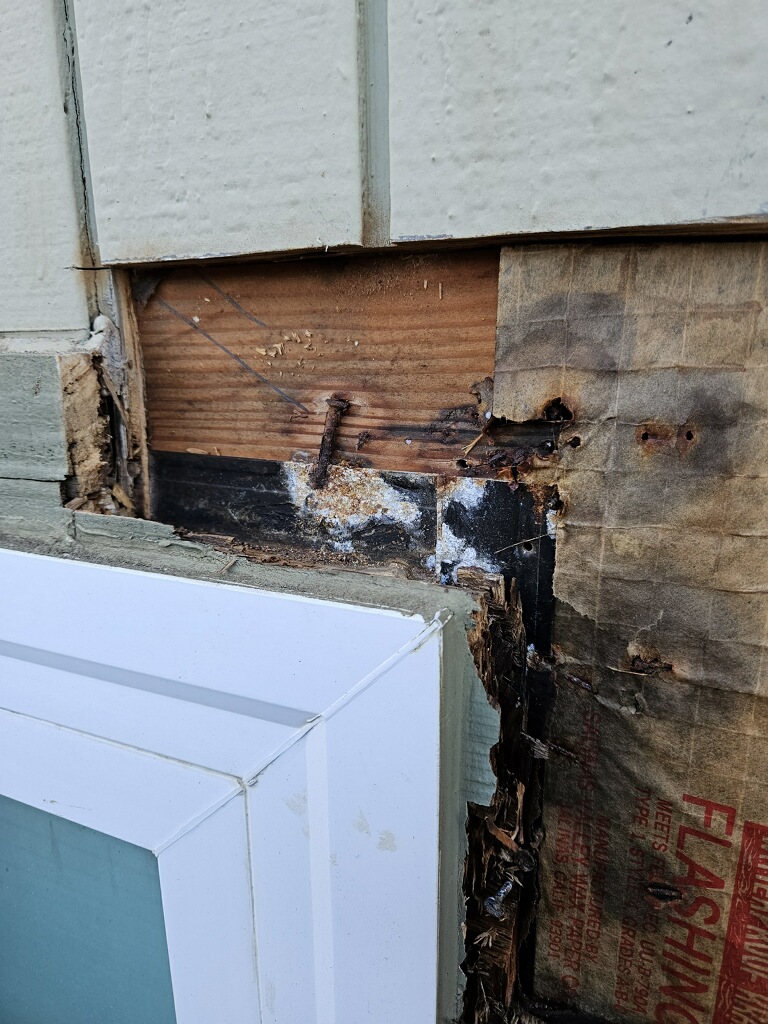 RogallCo's tweet photo. Spotted wood damage? Don't wait—our team can help prevent further issues! 🏡 #WoodRestoration #RogallAndCo https://t.co/SdWprAElNY