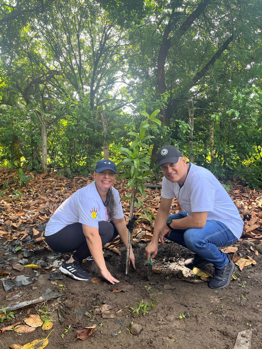 pipegonza182's tweet photo. @ElOIRdelaRegion @MariangelLinan #prestasionserviciosocialunadistaenterritorio https://t.co/QNtoCcfYTq