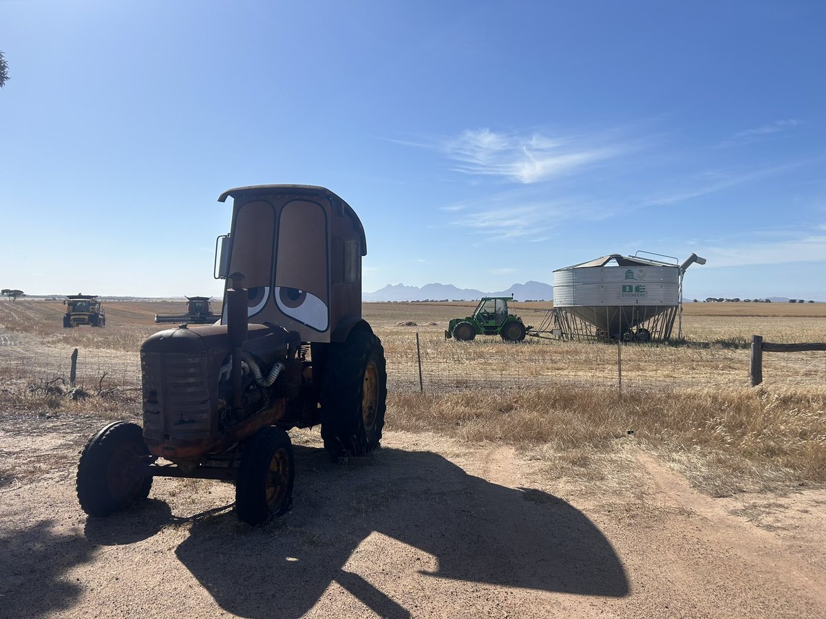 North Stirling Downs tweet media