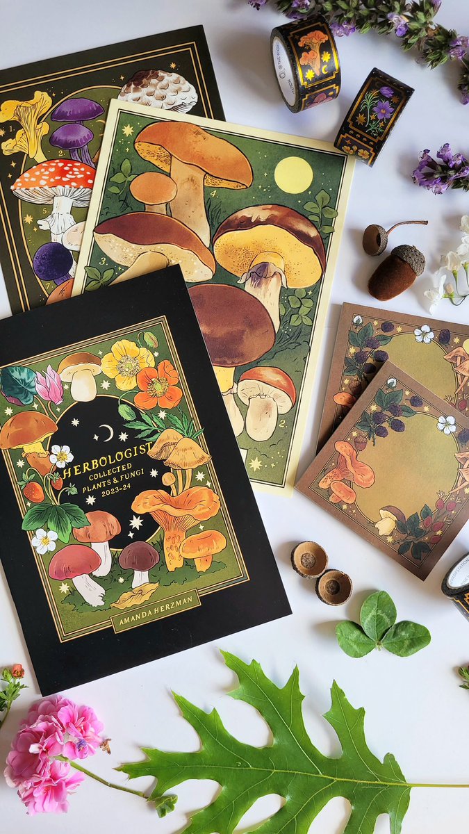 mushroomyhouse's tweet photo. A seasonal surprise from deep in the woods, here come Amanda’s brand new goods 🍄 https://t.co/OsNk3vZrUE