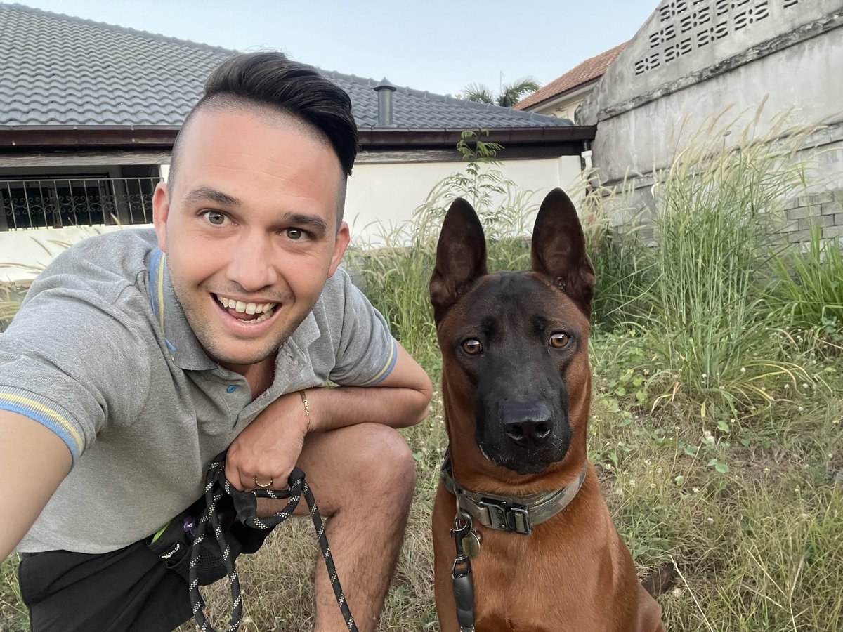 stefan_fabbro's tweet photo. Mein Thai Ridgeback „LAMSAM“

#thairidgeback #thaidog #doglovers #Thailand #bestfriends #pattaya #pattayadog https://t.co/VHw17t3m8M