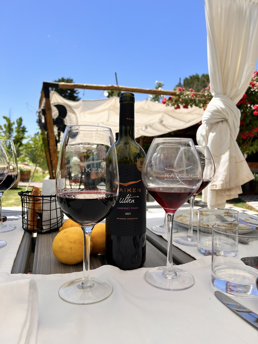 Vinimos a Mendoza con unas amigas 
Y soy la probadora de vino designada