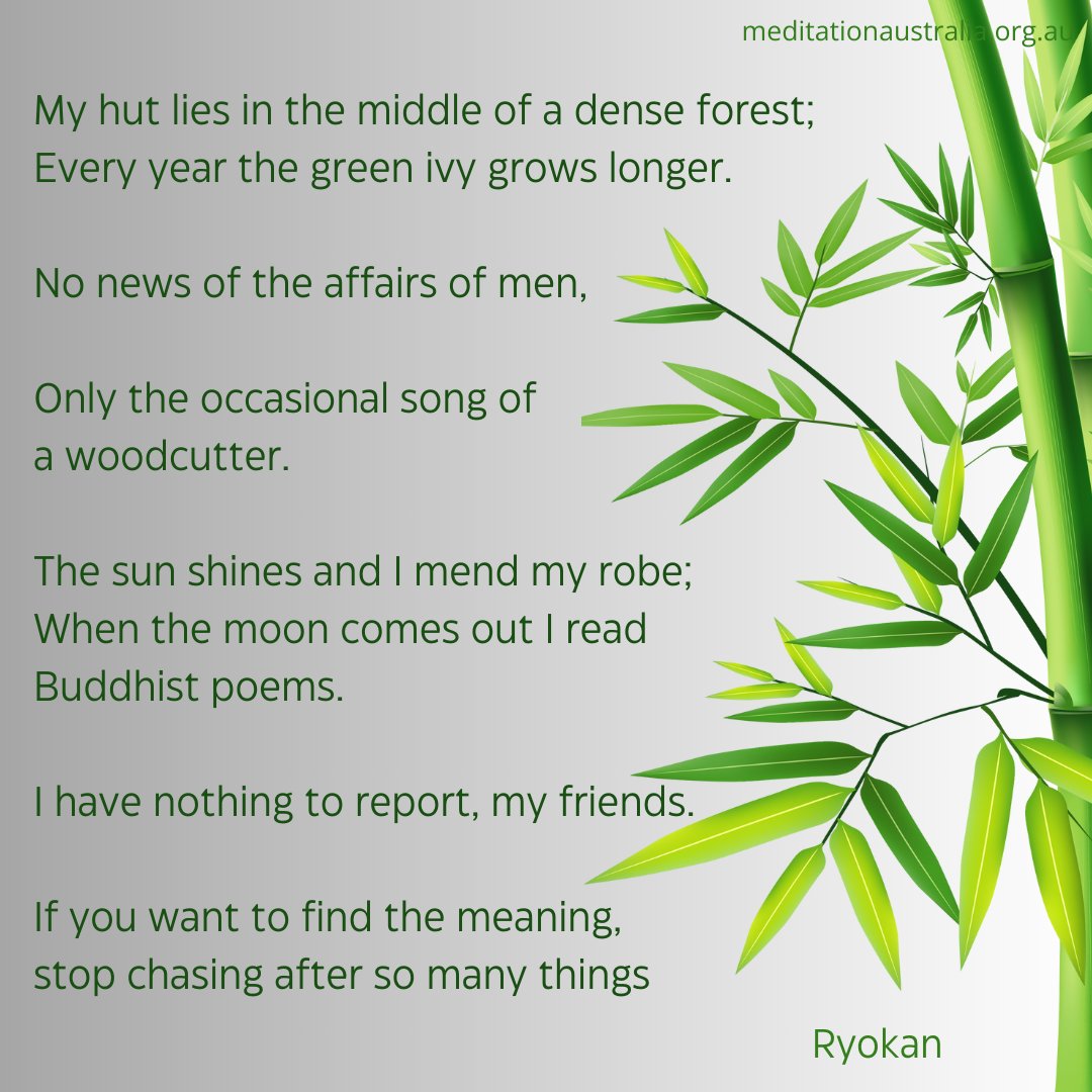 Meditation Australia tweet media