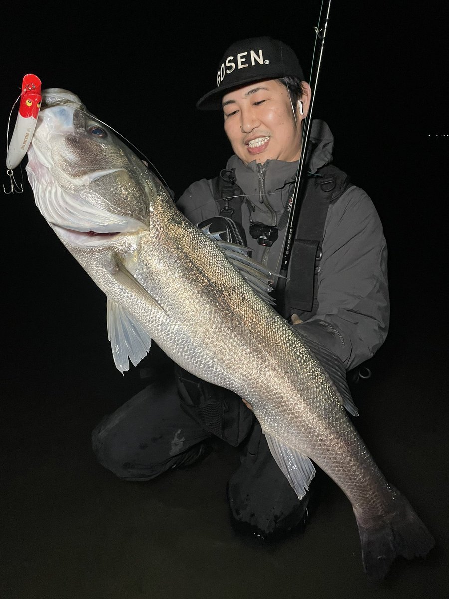 宮本大輔 tweet media