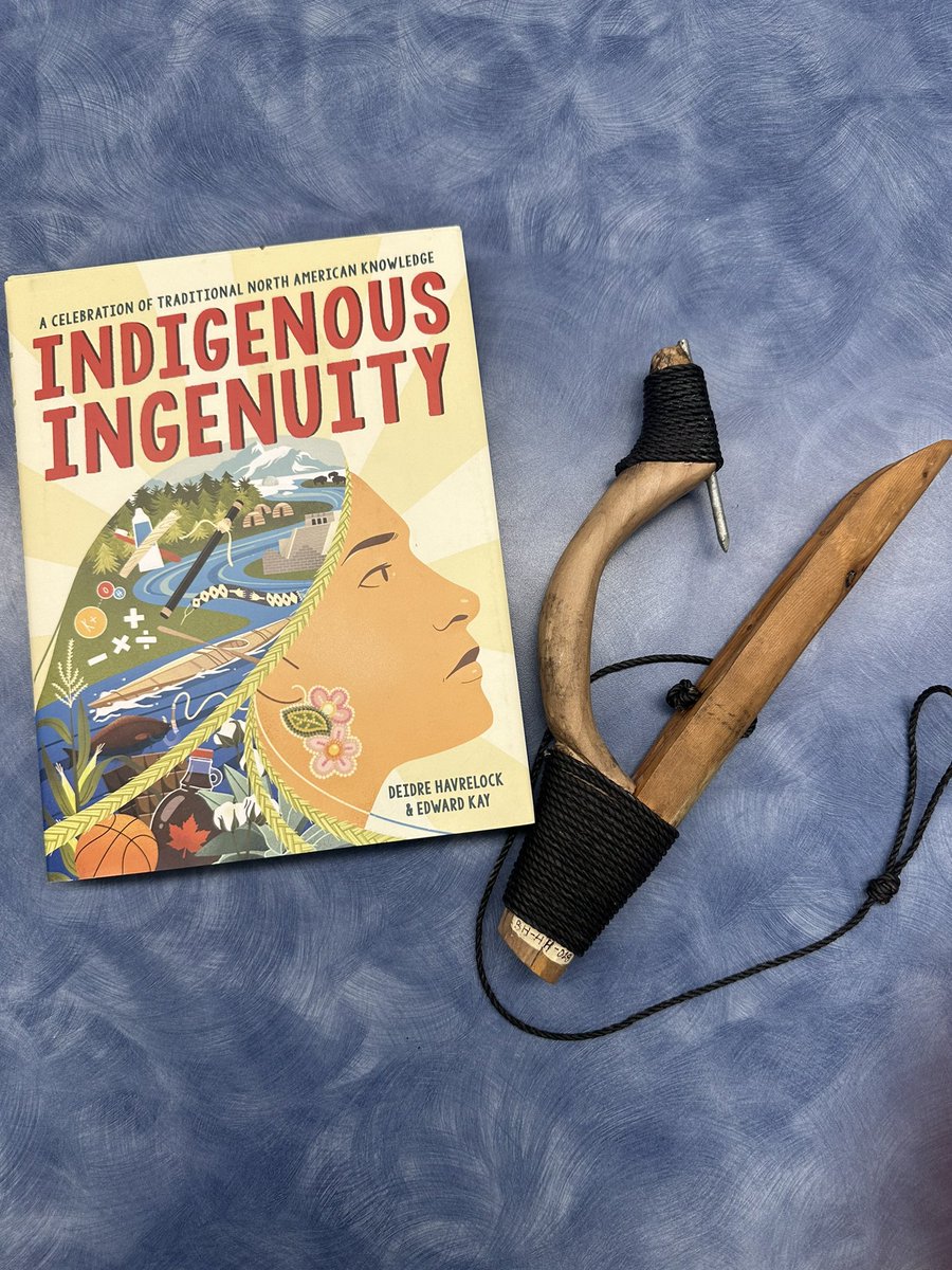 Lindsay Stewart tweet media