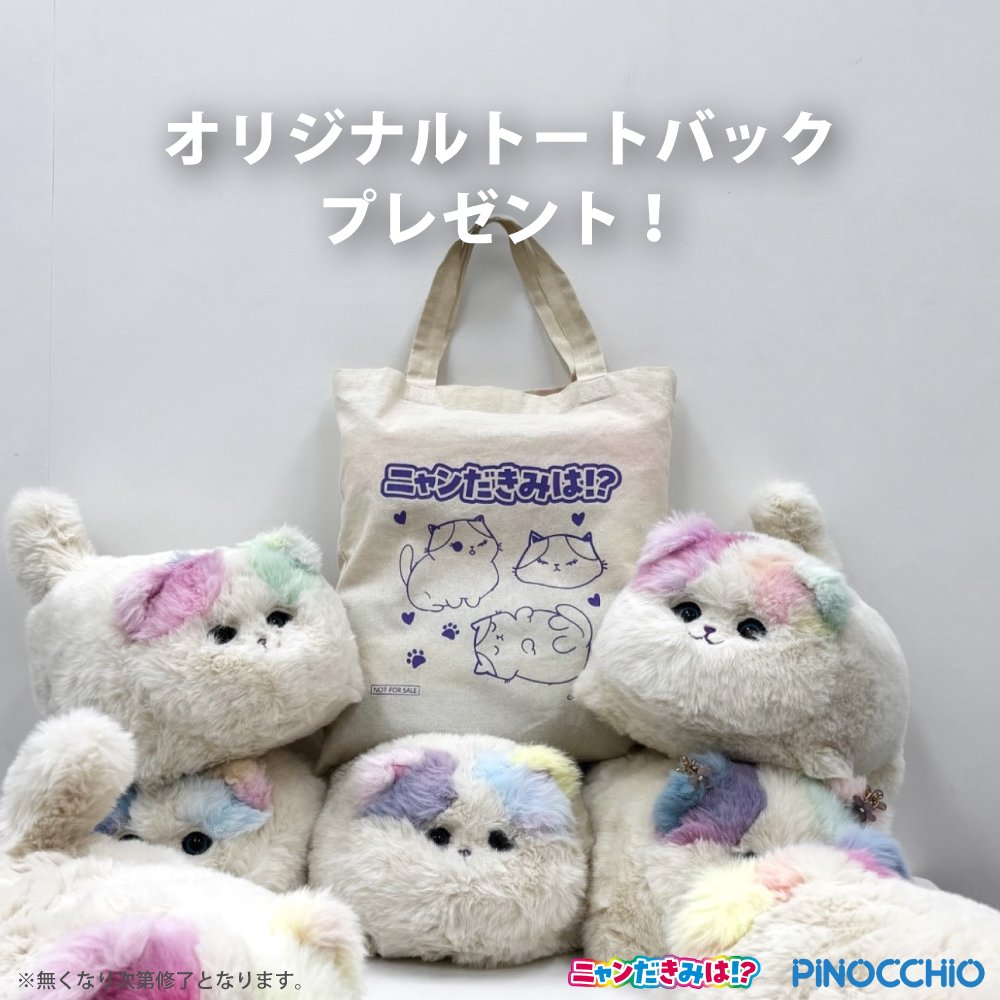 Joshinキッズランド店頭で ニャンだきみは！？を購入した お客様の中 