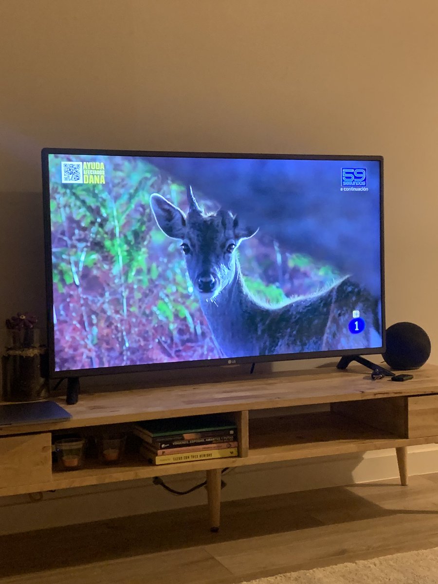 Se ha quedado buena noche para ver animales en prime time. 

Historia de la televisión en el día mundial de la televisión. Lamentable el motivo. 

<a href="/LaRevuelta_TVE/">La Revuelta</a> <a href="/La1_tve/">La 1</a> <a href="/rtve/">RTVE</a>