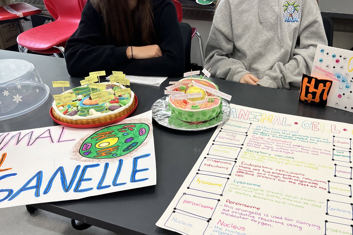 Mona Moftakhar (@monamoftakhar) on Twitter photo Ms. McKenzie’s class engaging in performance based tasks to showcase their learning of the function of animal/plant cells. Using UDL to maximize student outcomes, engagement and learning! Bravo! <a href="/SpectrumAltern2/">Spectrum Alternative</a> Ms. McKenzie’s class engaging in performance based tasks to showcase their learning of the function of animal/plant cells. Using UDL to maximize student outcomes, engagement and learning! Bravo! <a href="/SpectrumAltern2/">Spectrum Alternative</a>