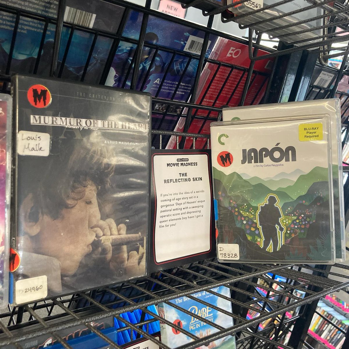 MovieMadnessPDX's tweet photo. One of our Community Curators this month is Altered Innocence, a film distribution company specializing in LGBTQ and Coming-Of-Age cinema from all over the world. Check out some of their recommendations if you’re looking for something a little different, if not eerily familiar 🖤 https://t.co/LJ7XSjMtFj
