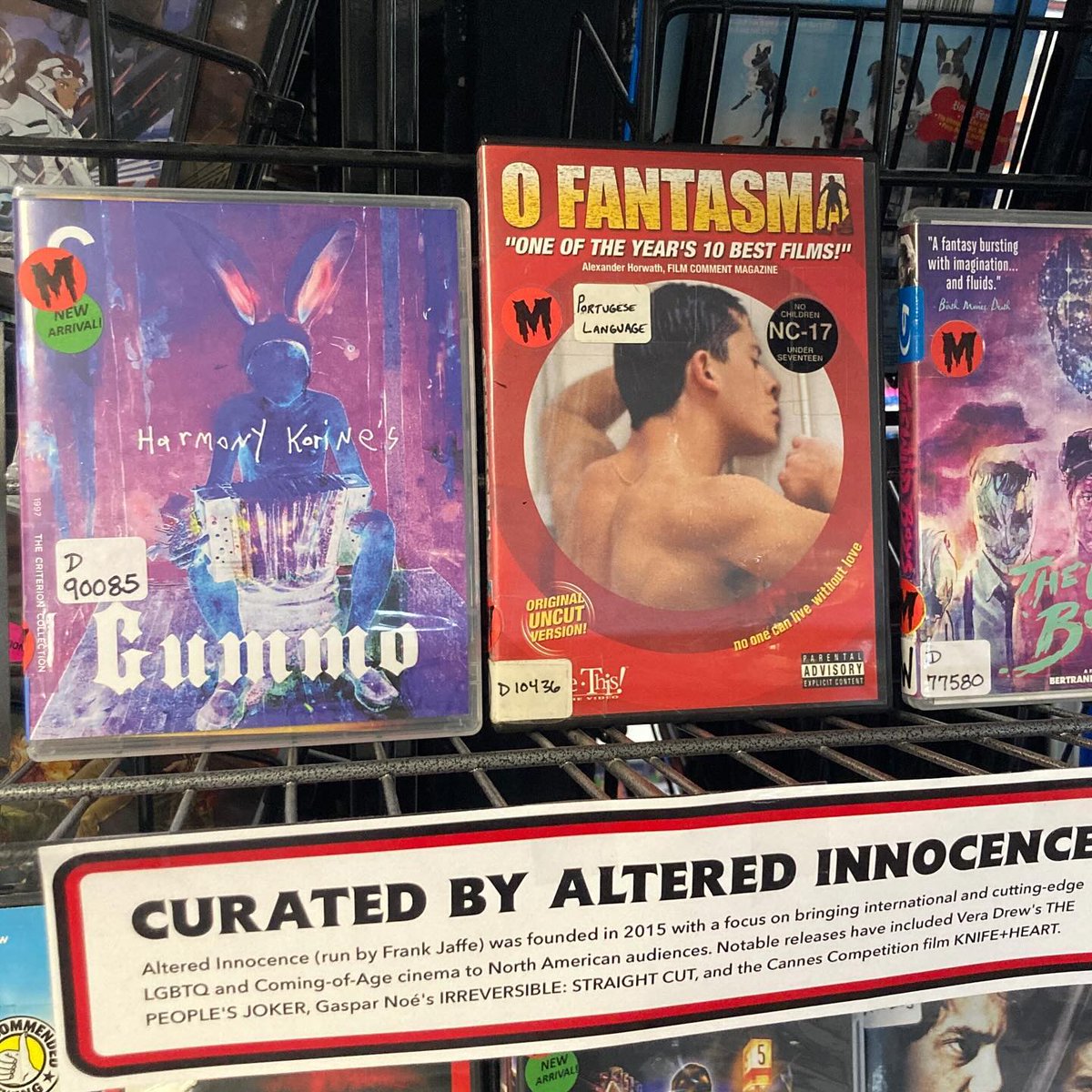 MovieMadnessPDX's tweet photo. One of our Community Curators this month is Altered Innocence, a film distribution company specializing in LGBTQ and Coming-Of-Age cinema from all over the world. Check out some of their recommendations if you’re looking for something a little different, if not eerily familiar 🖤 https://t.co/LJ7XSjMtFj
