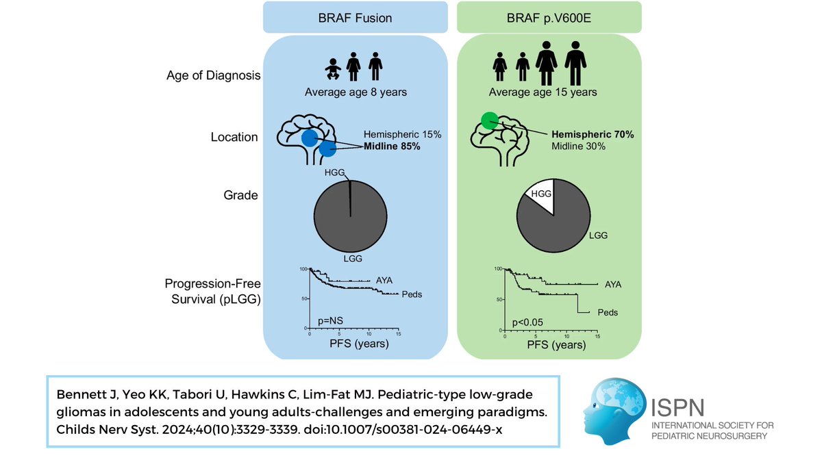 📰: Bennett et al. review the epidemiology, molecular mutations, treatment strategies, &amp; management challenges of pediatric low-grade glioma in an often understudied population: adolescent &amp; young adults ages 15-39 years #ChildsNervSyst #BrainTumor

🔗: link.springer.com/article/10.100…