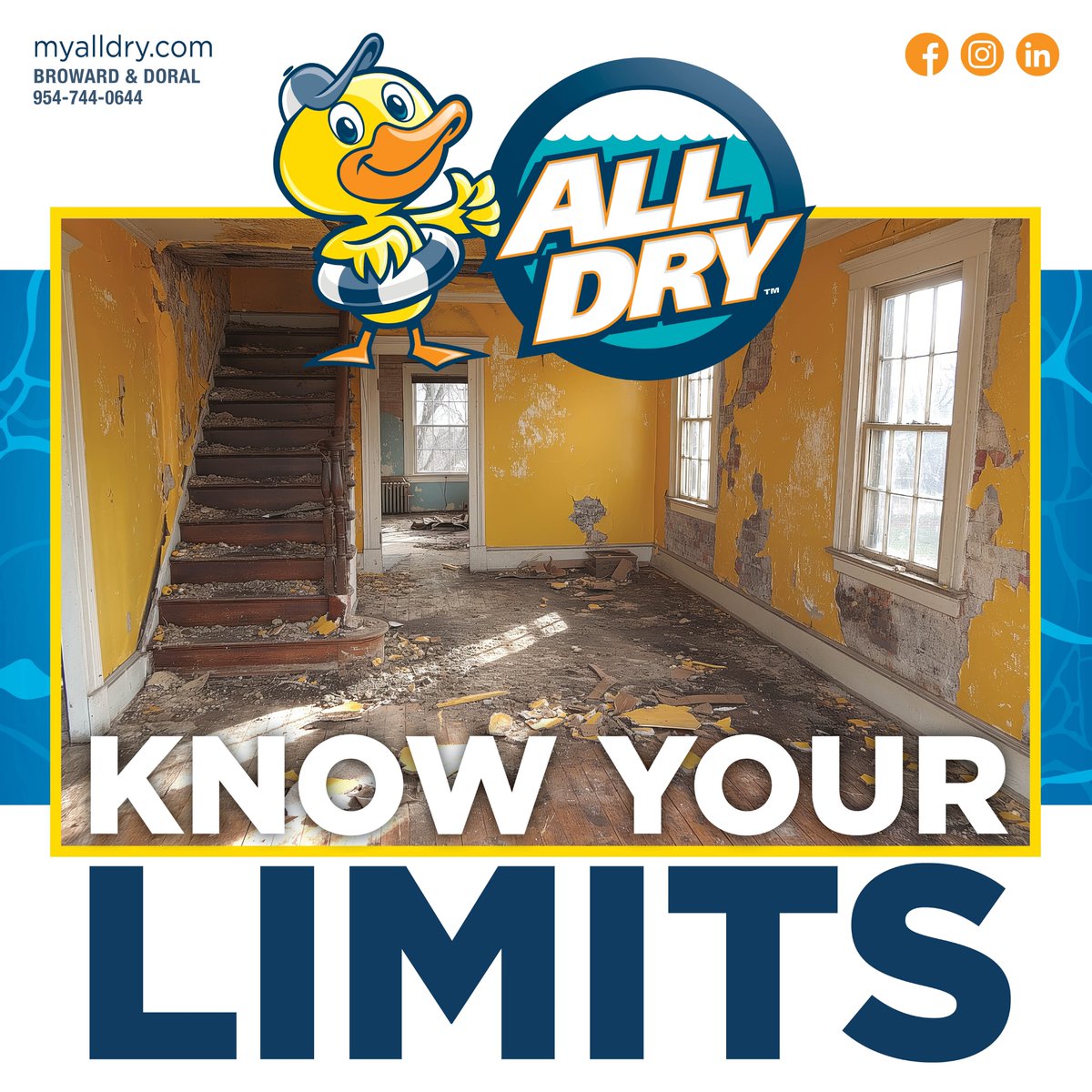 AllDoral's tweet photo. While some minor water damage issues can be handled with DIY methods, it's important to recognize when the situation becomes too complex or risky to manage on your own.
1. Extensive damage 2. Hidden moisture 3. Mold growth 4. Structural damage 5. Electrical hazards https://t.co/iL8rPbJbGt