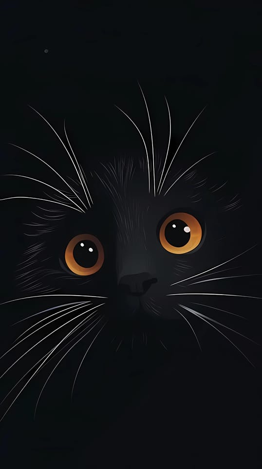 SusanneLeist's tweet photo. Who walks the woods of Blue Harbor, Maine, leaving behind the heads of black cats arranged in a precise circle?
It's time to find out.
Do I hear chanting coming from the forest?
MEET ME IN MAINE
https://t.co/HiBnh2Wg7N
#MysteryHour #horrorbrew #BooksInBooks https://t.co/KCXS5uWgJ2