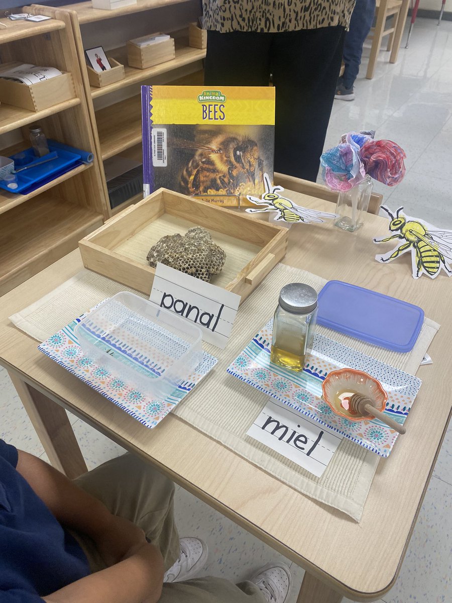 Isabel Justo tweet media