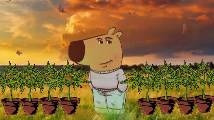 El Paragua Venenoso (@elparaguayo1231) on Twitter photo 