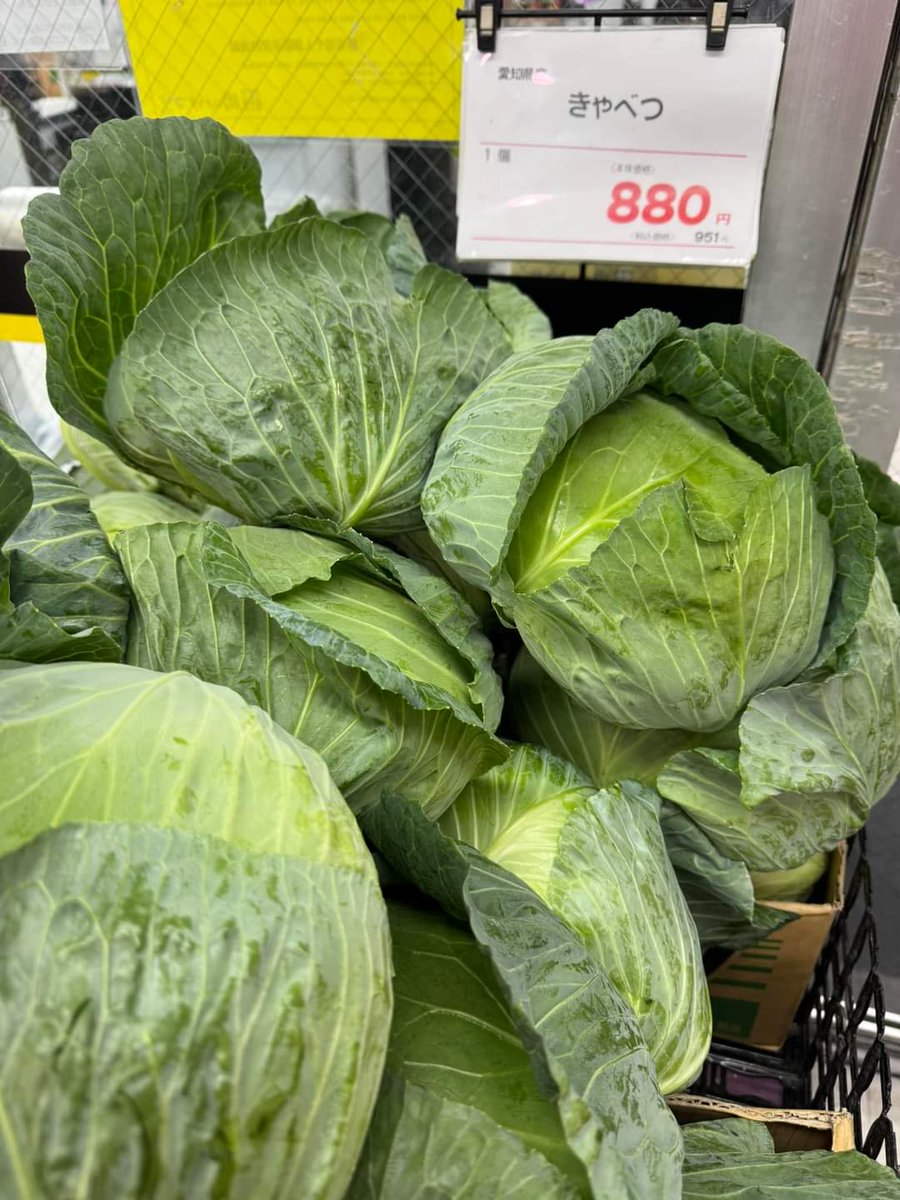 高級食材です。
でも使わないと商売できない😢