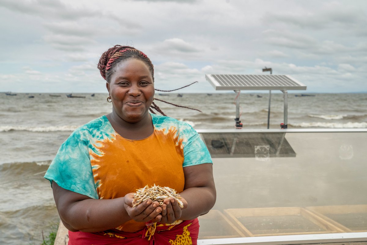 Our Cohort 4 drives blue economy innovations with renewable energy and sustainable practices to support global climate goals.

#OceanInnovator ONG MARAPA empowers communities with solar food dehydrators to cut carbon emissions, while MAVUNOLAB boosts seaweed farming for