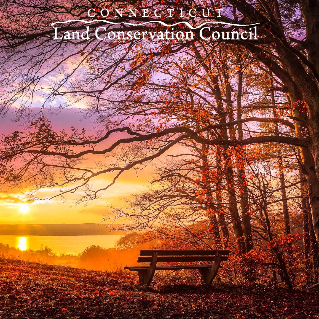 ✨ Help Us Meet a $50,000 Challenge Match! Every contribution counts toward supporting conservation for future generations. Thank you for making a difference!  Donate: bit.ly/3Yv4wde