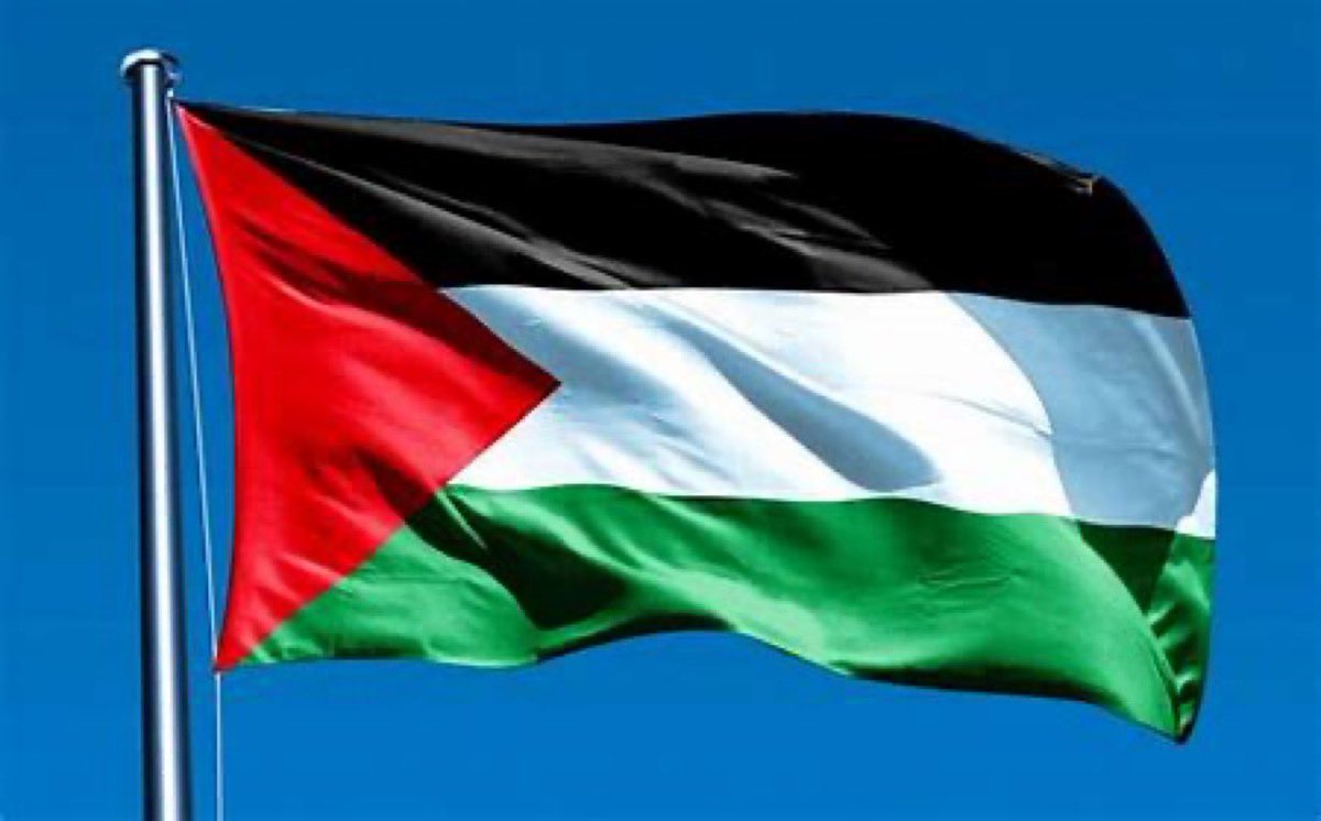 ar_zami11's tweet photo. 🚨Simple YES or NO poll.       

Do you stand with Palestine? 

A. Yes    
B. No https://t.co/4v2VyY3Rzv