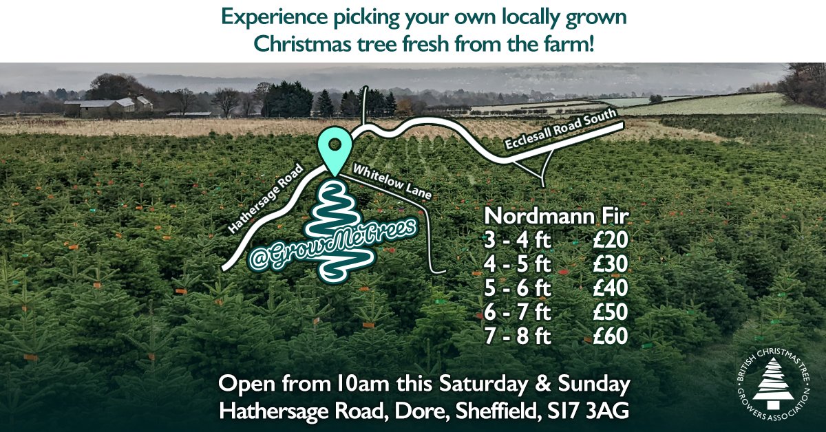 🌲We're open all weekend for both reservations and freshly cut trees, 10am-4pm Saturday &amp; Sunday.🌲Thousands of beautiful trees to choose from.🌲No appointments necessary. Just turn up. Dogs on leads welcome.🌲