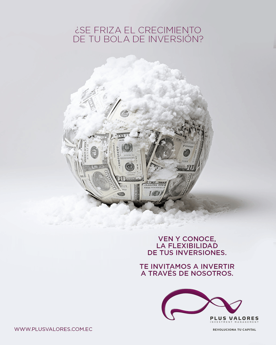 Plus Valores - Investment Management tweet media