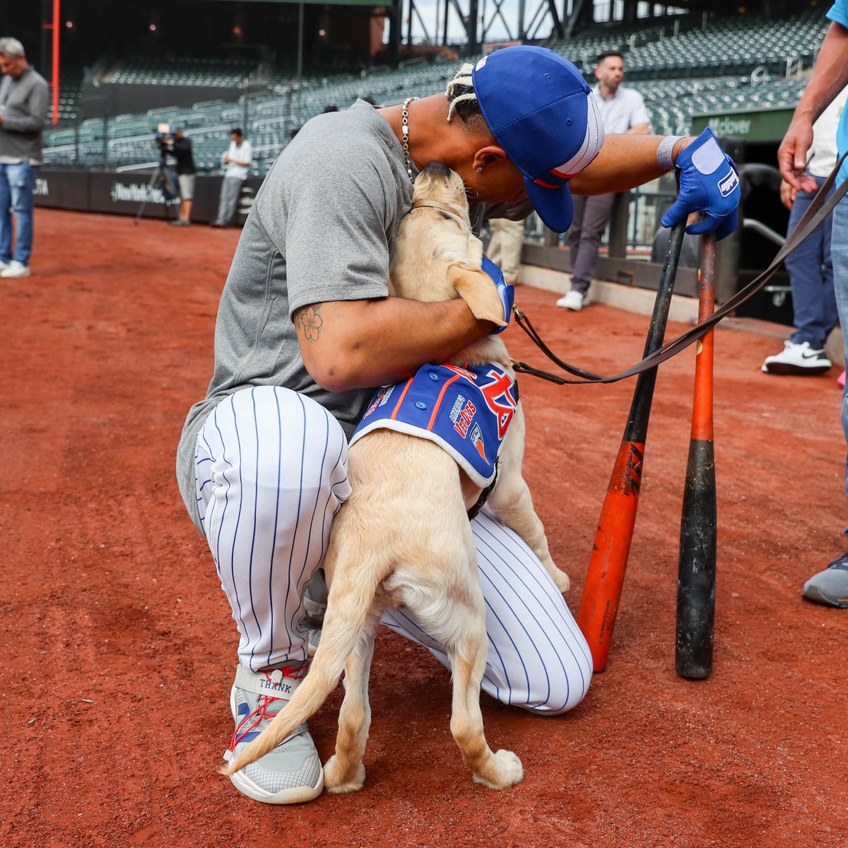 MetsVetDog's tweet image. Repost if you 💙 Francisco as much as I do!