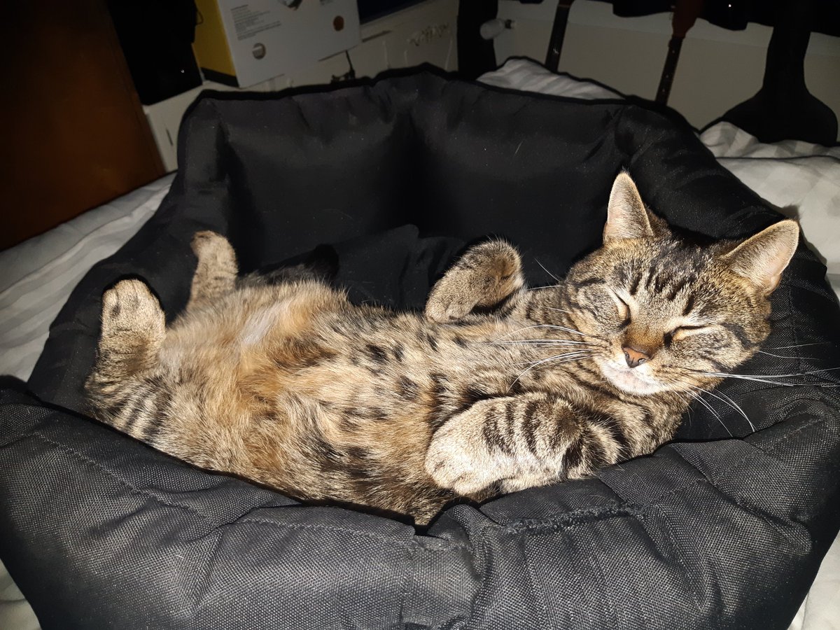 kk, last one 😺 ❤️