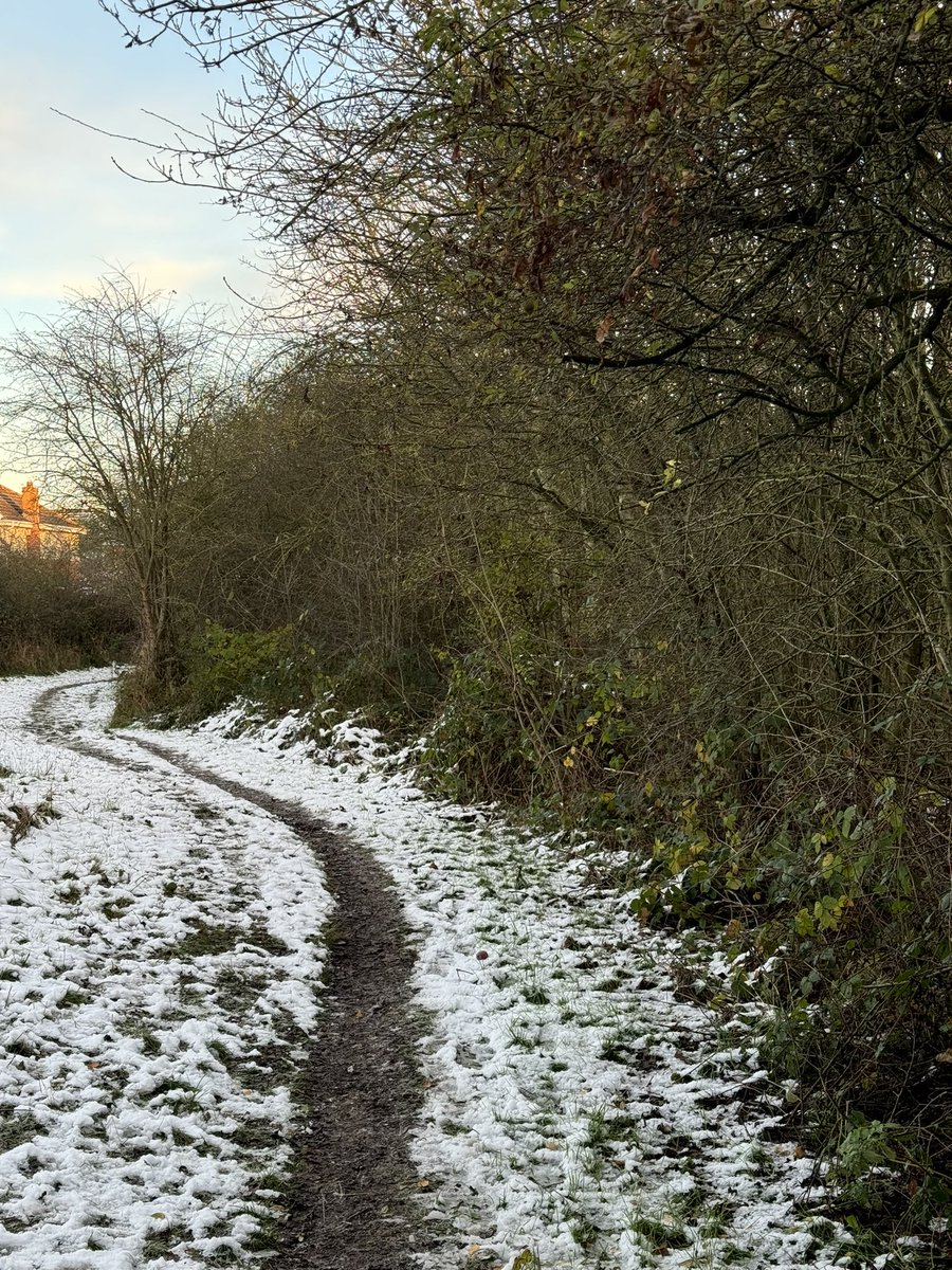 Chris Sweetman tweet media