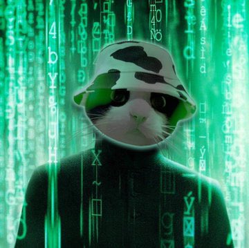 Allen82563956's tweet photo. @MooCatSolana @itsFoxCrypto $MooCat’s community is incredibly strong, promising huge potential for growth and success! https://t.co/QWMUKJfJNh