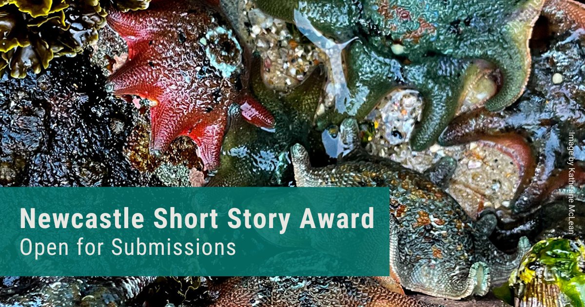 ArtsUpperHunter's tweet photo. Hunter Writers' Centre is pleased to announce the 2024 Newcastle Short Story Award is open for submissions.  Submissions close 8:00 pm, Sunday 22 December 2024. Visit their website for details. https://t.co/2Xv0olUmKi