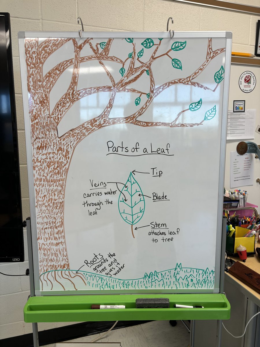 CUpton0's tweet photo. MVES art students are creating leaf artwork in the style of artist Georgia O’Keeffe. A special focus is placed on shading to create value. Students are also learning how each part of a tree and leaf function.

@BurkeCoSchools @MVESbobcats
#ignitelearningbcps #allinBCPS https://t.co/o5g8NQpElx