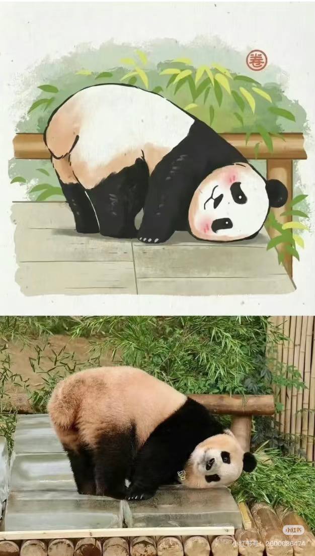 Art imitates life :) 🐼