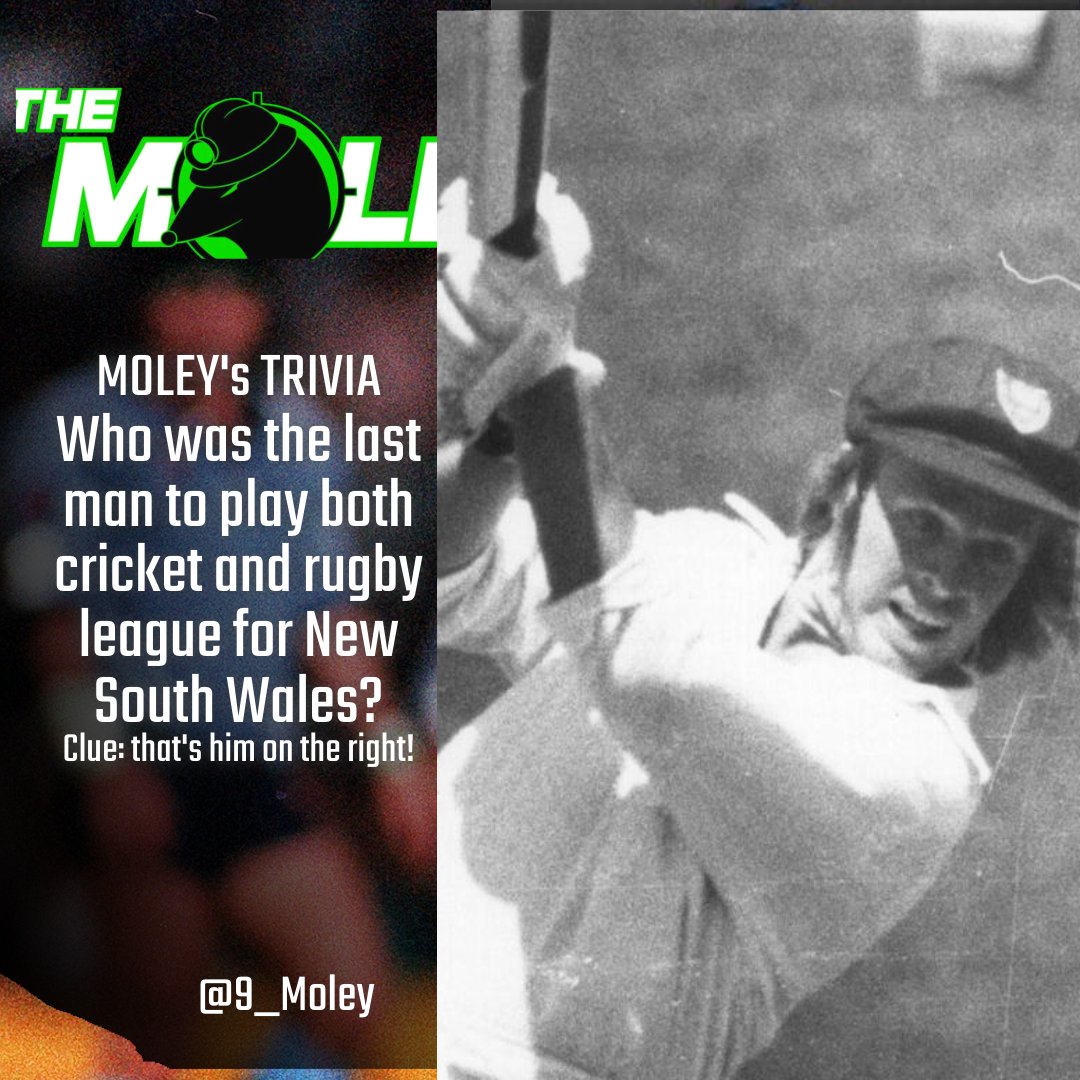 The Mole tweet media