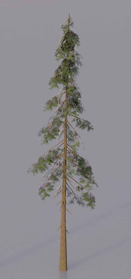 Elite_Rblx's tweet image. #RobloxDev #ROBLOX
Hello, I&apos;ve been off twitter for a while now. I&apos;ve been taking my time learning new skills!

Made This pine tree pack that will be out soon.

Stay tuned!