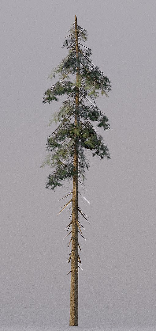 Elite_Rblx's tweet image. #RobloxDev #ROBLOX
Hello, I&apos;ve been off twitter for a while now. I&apos;ve been taking my time learning new skills!

Made This pine tree pack that will be out soon.

Stay tuned!