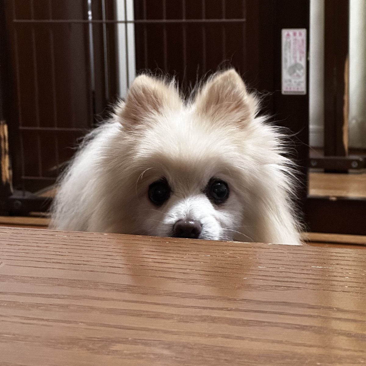tsujiseitai's tweet photo. ブログを更新しました。

■ブログ

肩こりを0円で解消させる方法

https://t.co/RiAf9EBDHI

■予約専用電話

072-805-0081

■24時間ネット予約

https://t.co/VO9cHKQ4fT

#つじ整体院

#枚方市

#肩こり https://t.co/AL29pgMPlL