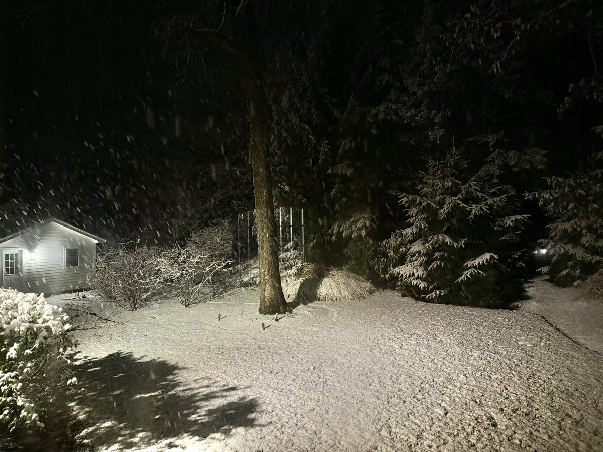 nycmmd's tweet photo. @NWSNewYorkNY @nysmesonet About an inch here in Franklin Lakes, NJ (625' asl), with snow starting to accumulate on street too. 32.0F https://t.co/G5mUINdWKK