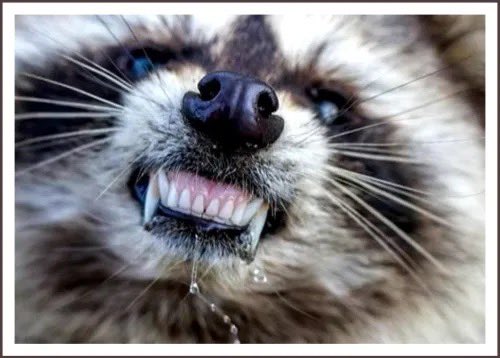 KrakenCove tweet media