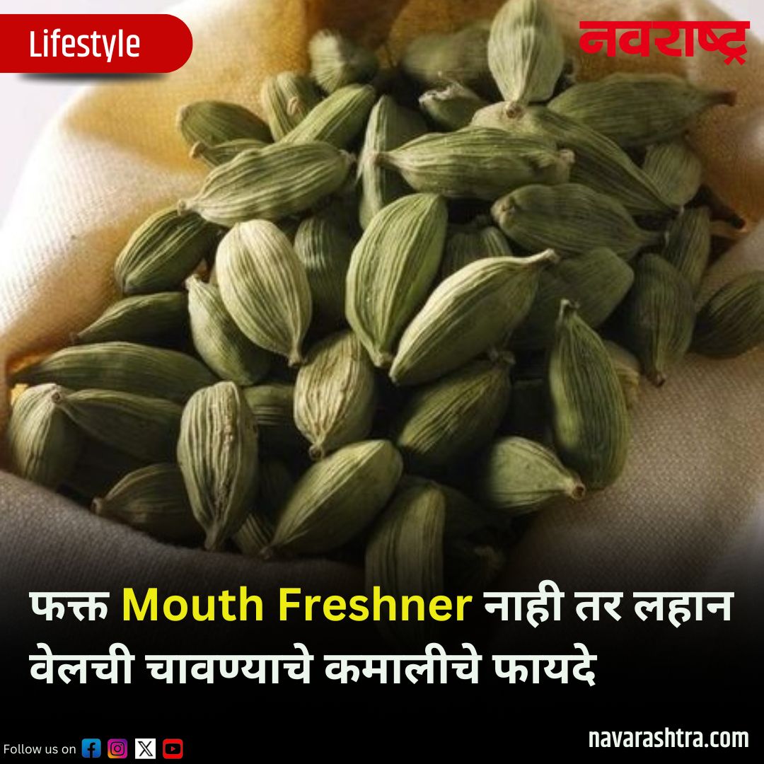 navarashtra's tweet image. फक्त Mouth Freshner नाही तर लहान वेलची चावण्याचे कमालीचे फायदे, घ्या जाणून

#healthylifestyle #benifits #morningtips

वाचा सविस्तर : tinyurl.com/yc7atkzz