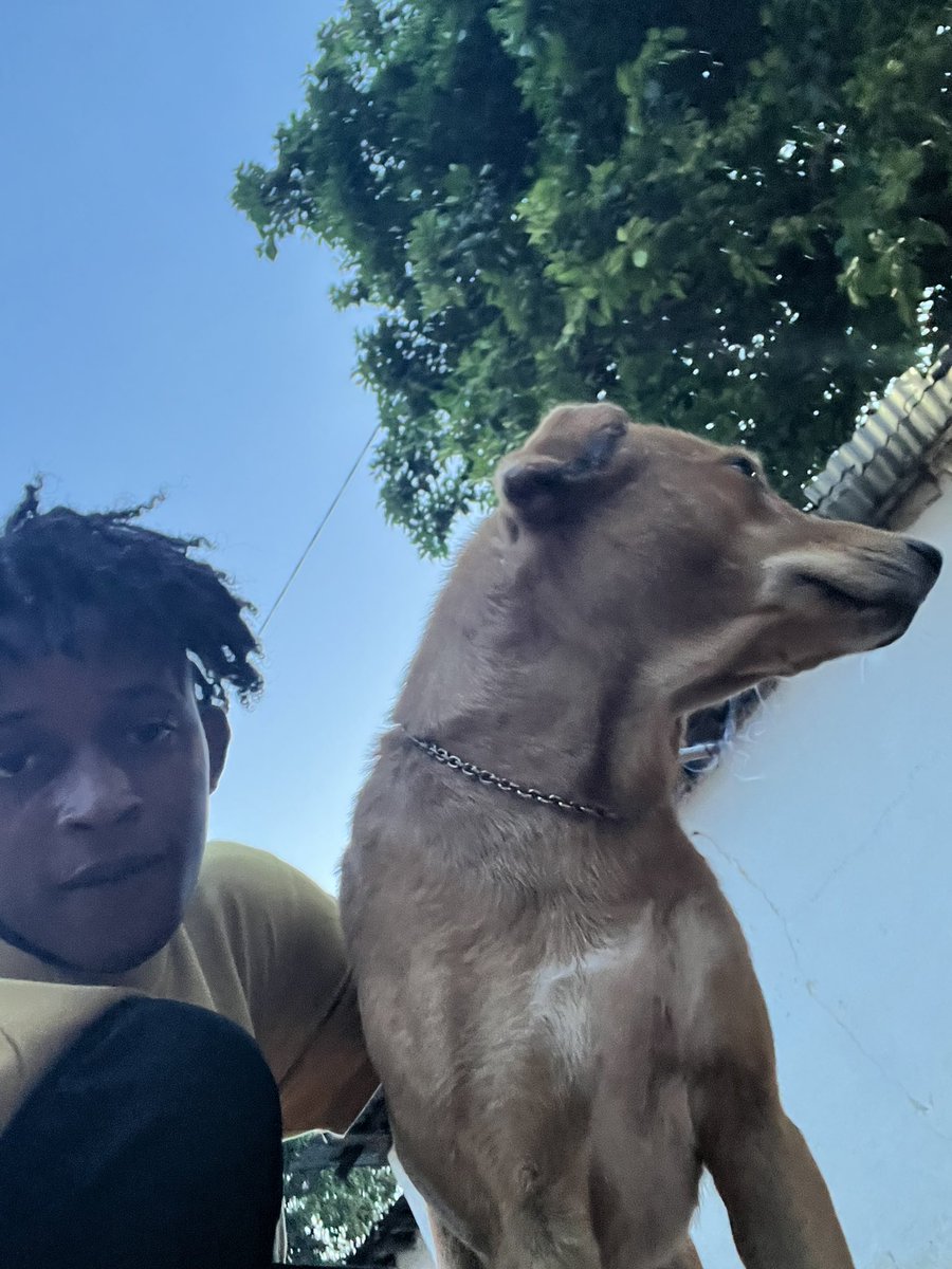 Nice lovely dog 💙💙