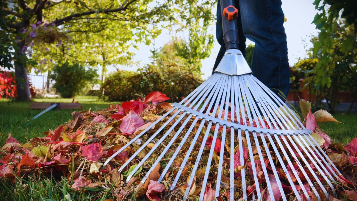 WestJacksonFire's tweet image. Planning to burn yard debris this weekend? Read our guide to safe, legal open burning at buff.ly/3YOaJkp. 

#openburning #burnban #fallleaves #leafwatch #firesafety #westjacksonfire