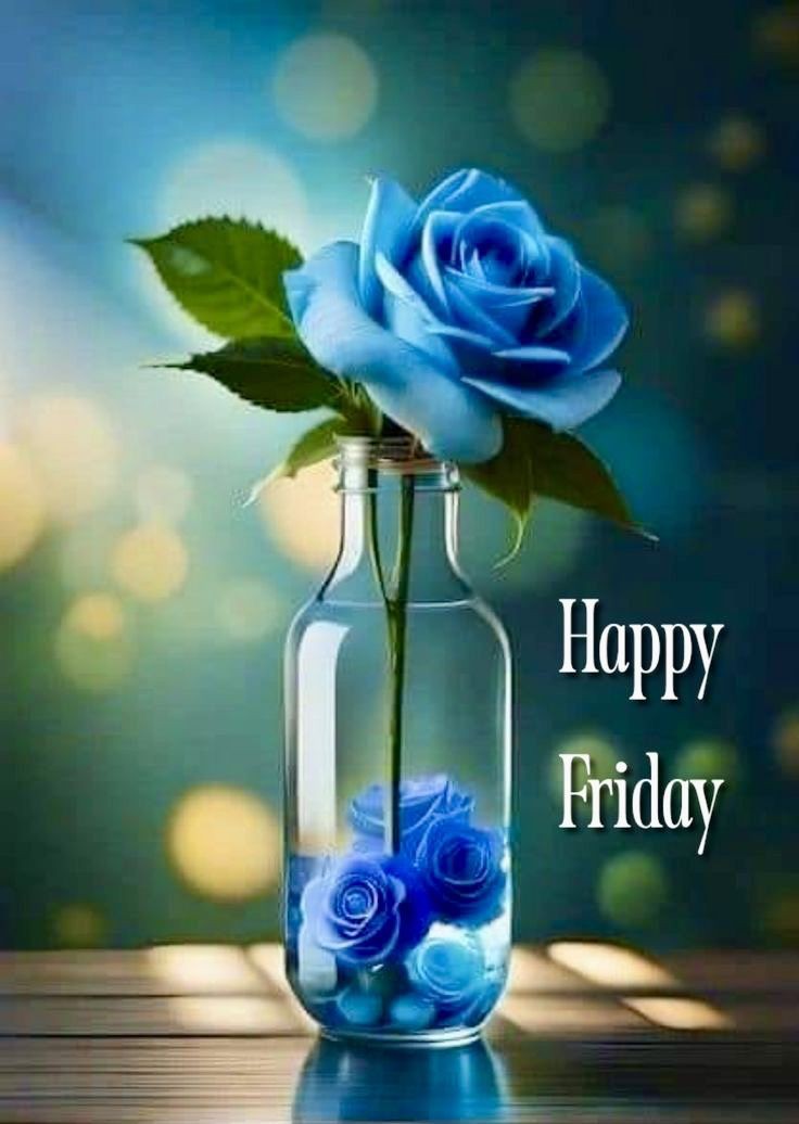 Dr.Areesha tweet media