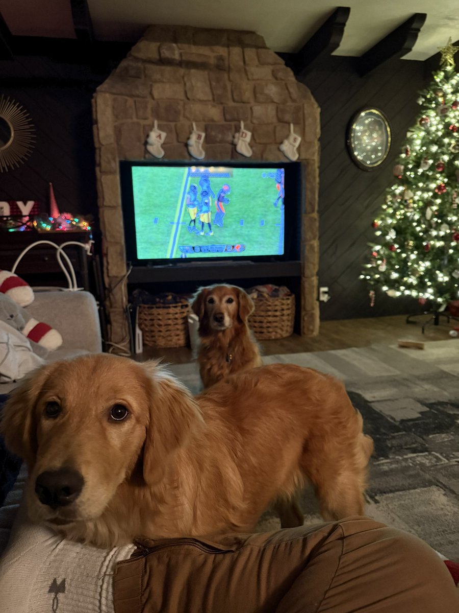 _EsteVato's tweet photo. 🎄🐾 https://t.co/n5NLGWpNqB