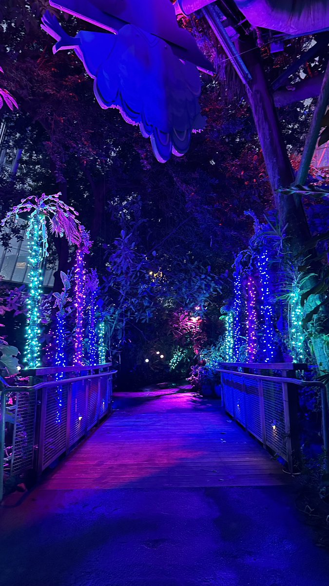 Nicole Farley tweet media