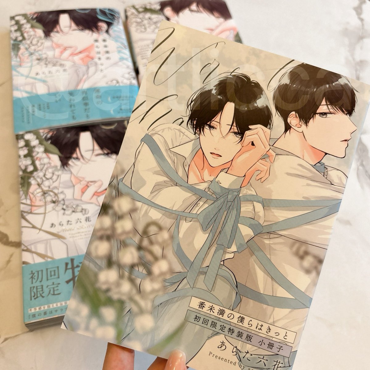 新品♡あらた六花♡番未満の僕らはきっと 番未満の僕らはきっと【特装版小冊子】（完結・最終巻） - あらた六花